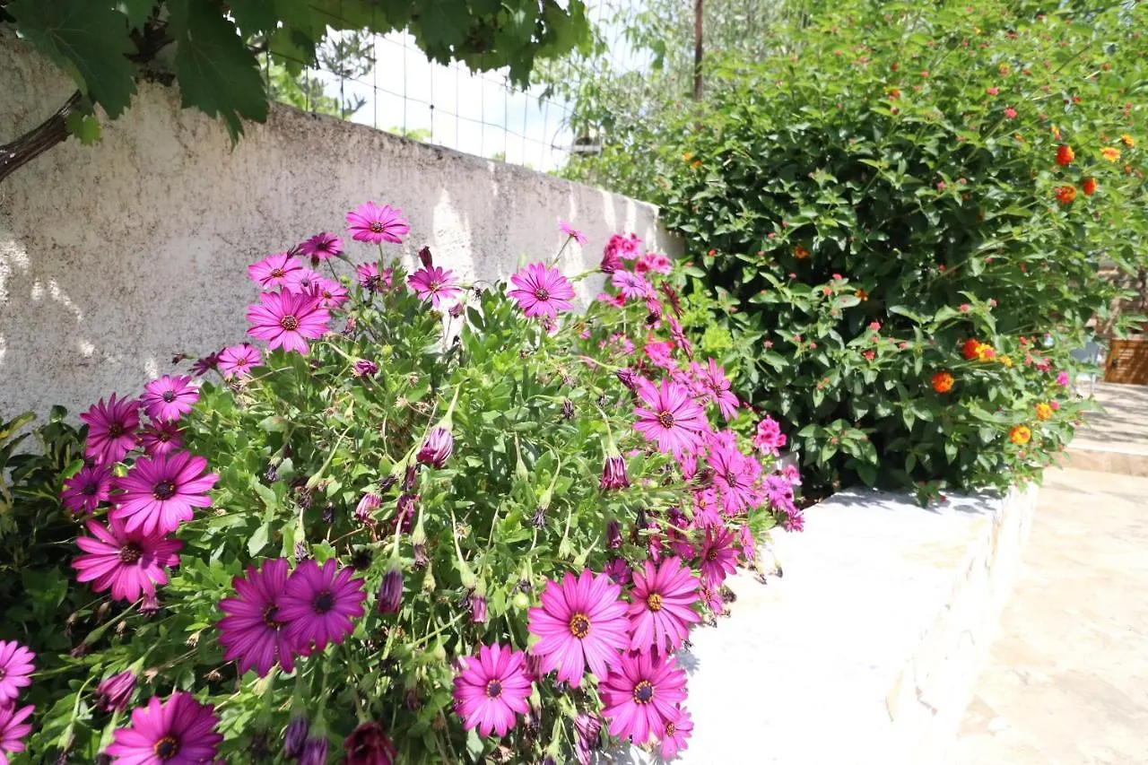 Villa Juli Ksamil Apartamento